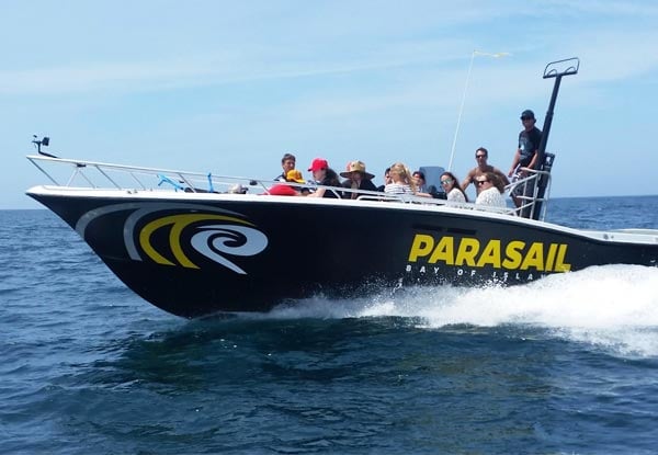 Hole-in-the-Rock Boat Trip in the Bay of Islands for One Person - Options for Two People