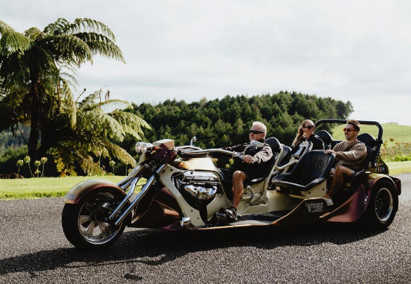 V8 Trike Tour - Mount Maunganui Beach Cruise