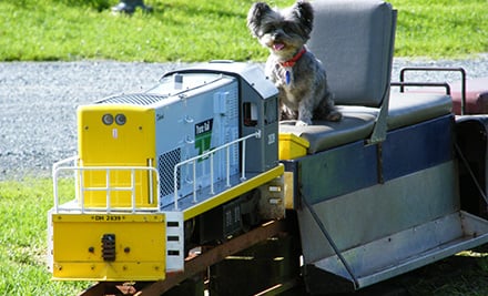 Country Park Express