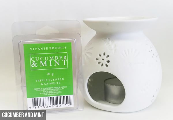 $15 for a Wax Melts & Burner Set - Available in Four Types