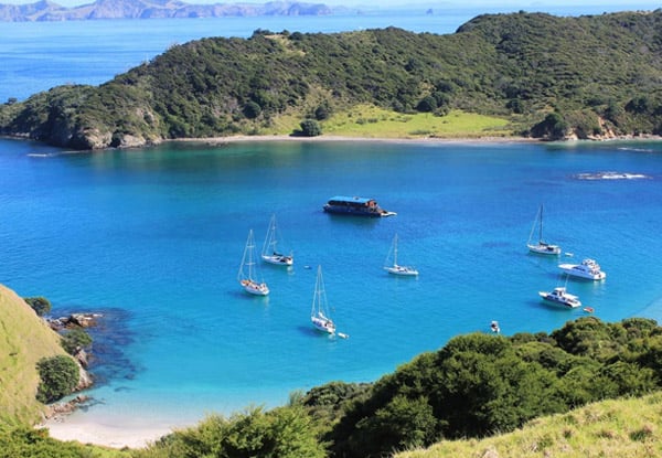 Overnight Cruise in the Bay of Islands incl. Accommodation, All Meals, Activities & Island Stopover - Options for Shared Rooms, Family Rooms, Private Rooms or Private Charter Available