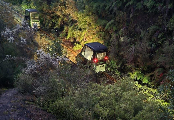 Rotorua Rail Cruising