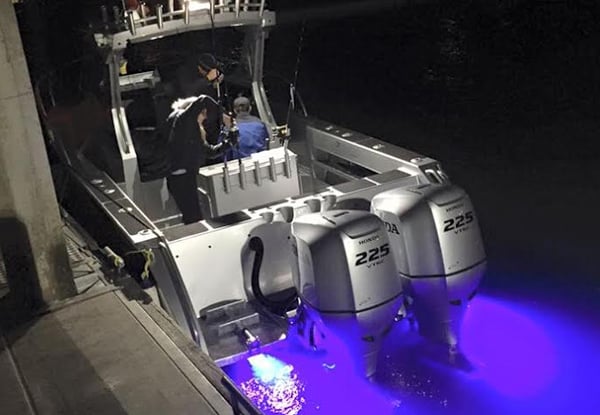 Wave Dancer Charters