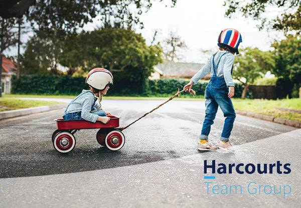 Ryan Hopkins - Harcourts Team Group