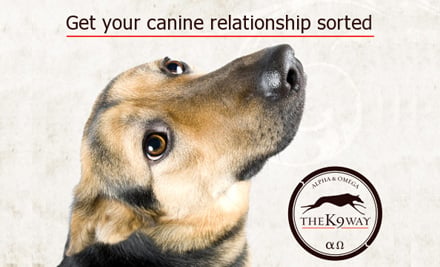 TheK9Way