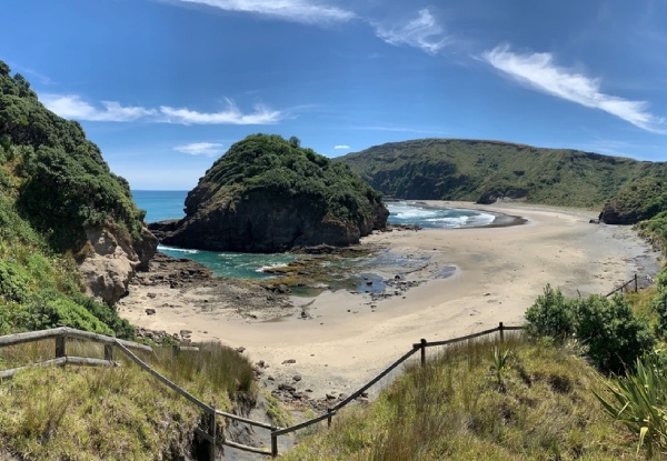 Wild West Coast Group Discovery Auckland Tour incl. Pick-Up & Drop-Off From Your Auckland Address, Water & Snacks Provided - Options for up to 10 People