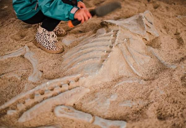 Adult or Child Ticket to The Amazing Dinosaur Discovery Event at Manukau or Flat Bush - Valid Weekends from 10th to 25th February 2024
