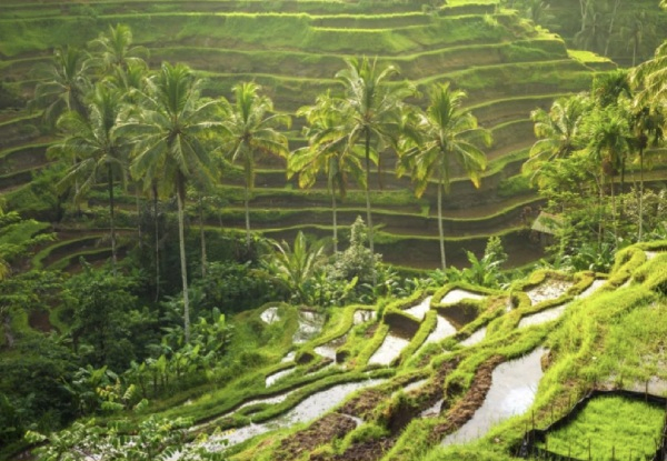 Per Person, Twin Share 10-Day Southeast Asia Vietnam & Bali Adventure incl. Accommodation, Flights from Vietnam to Bali, Tour Guide, Meals, Transportation & More