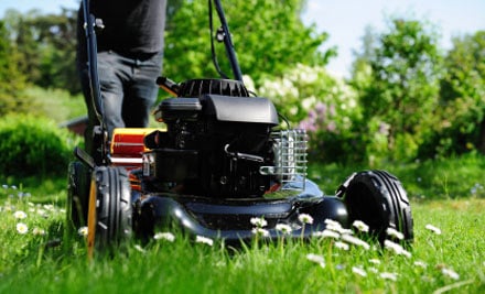 Sammy's Garden Services