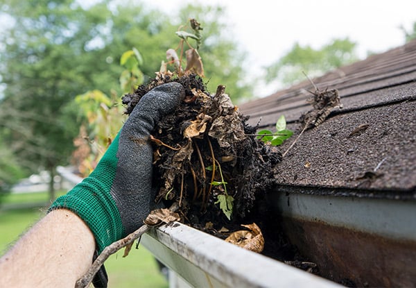 Gutter Clean for a Single-Story House up to 120sqm - Options for up to 300sqm