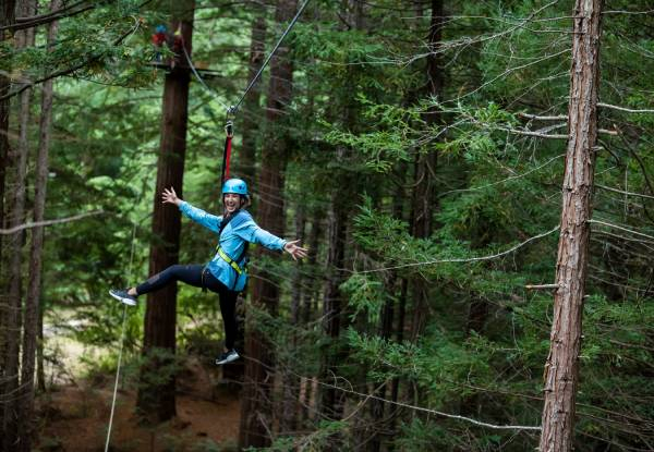 Redwoods Treewalk & Nightlights and Redwoods Altitude