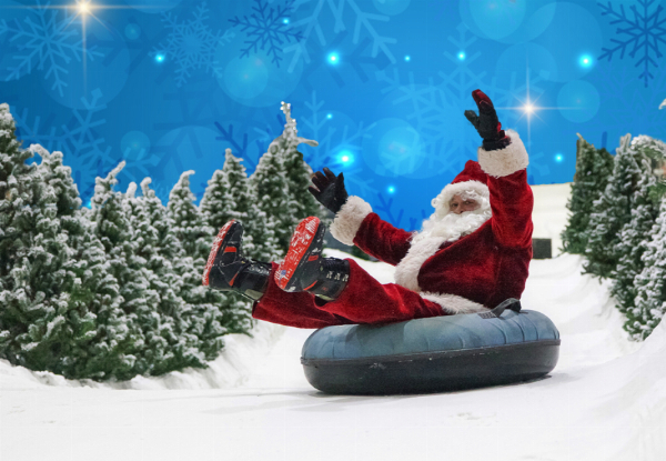 Santa's Snowplanet Winter Wonderland Family Fun Experience for Four - Valid from 22nd November to 24th December 2025