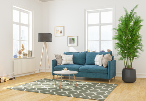 Upholstery Cleaning for a Three-Seater Couch - Option for a Five-Seater Couch