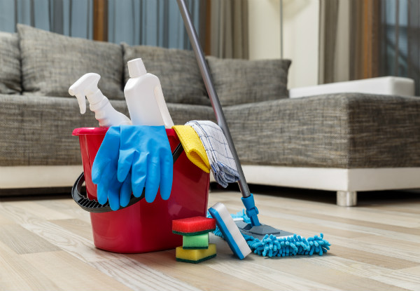 Shimmer And Shine Cleaning Service