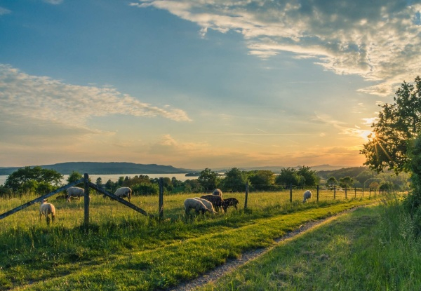 Rural Tours Ltd