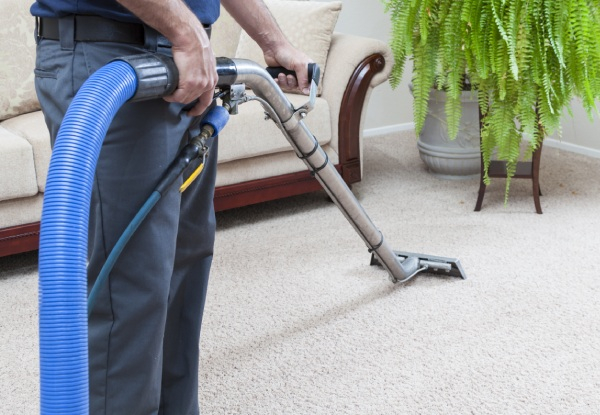 Carpet Shampoo Clean for One Room - Options for up to Five Rooms & to incl. Lounge & Dining Room