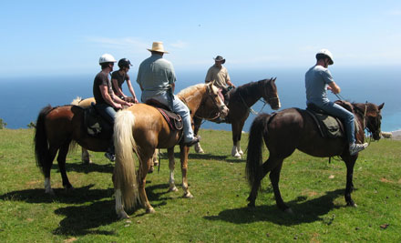 Coastal Views Horse Rides Wainuiomata