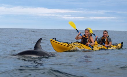 Kaikoura Kayaks