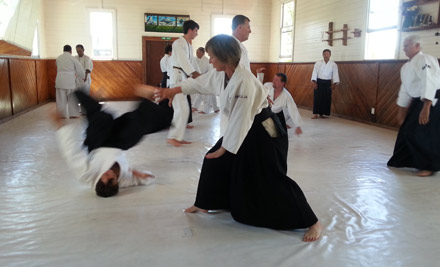 Aikido Nelson