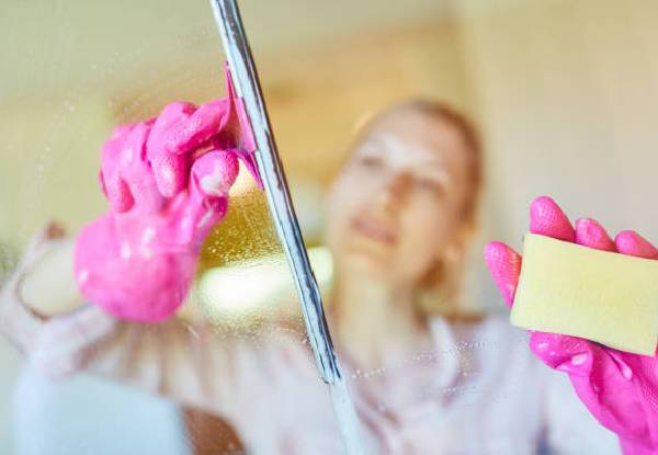 Easy Access (Exterior Cleaning and Pest Control)