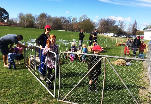 Kidzplay & Funky Farm Petting Zoo Hastings