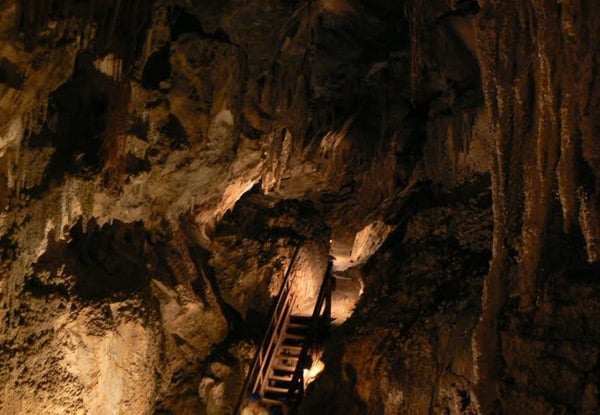 $35 for a Family Guided Tour of Ngarua Caves featuring Skeletal Remains of Extinct Moa (value up to $48)