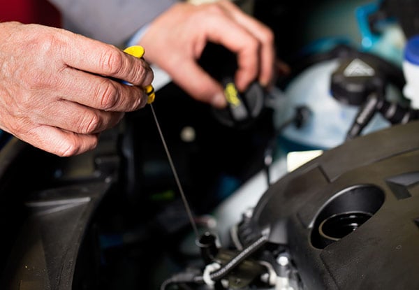 $89 for an Extensive Safety Check, Comprehensive Service & Warrant of Fitness (value up to $249)