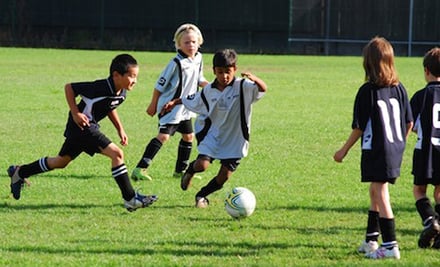WYNRS Wynton Rufer Soccer School of Excellence
