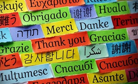 LinguaVille