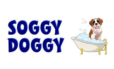 Soggy Doggy
