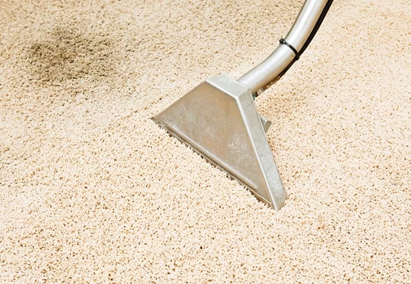 Bedroom, Lounge & Hallway Carpet Shampoo Steam Clean incl. Deodorising & Door Mat Shampooing - Options for up to Five Bedrooms Available