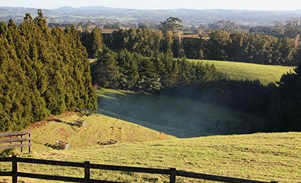 Cottle Hill - Holiday Home Kerikeri