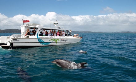Dolphin Eco Experience