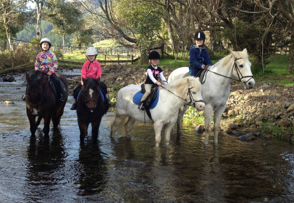 Thompsons Horse Centre