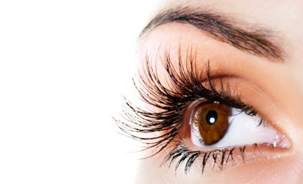 $30 for a Lash & Brow Tint, Eyebrow Shape & Upper Lip Wax (value up to $60)
