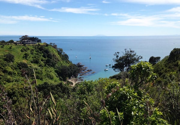 The Waihekean(!)
