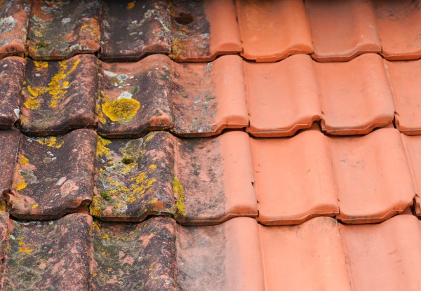 Two-Bedroom House Roof & Moss Removal Treatment - Options for Three-Bedroom & Four-Bedroom House to 200m2