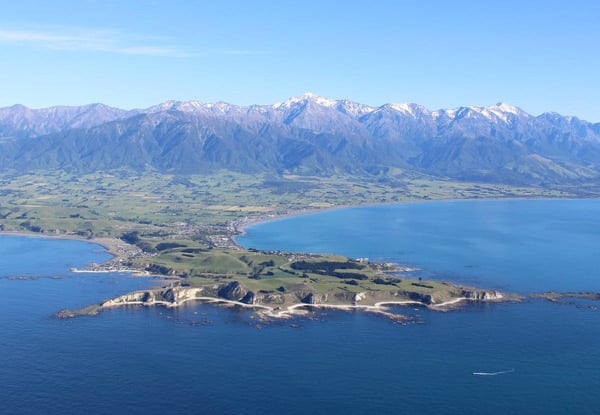 $278 for a 30-Minute Kaikoura Whale Watching Flight for Two People