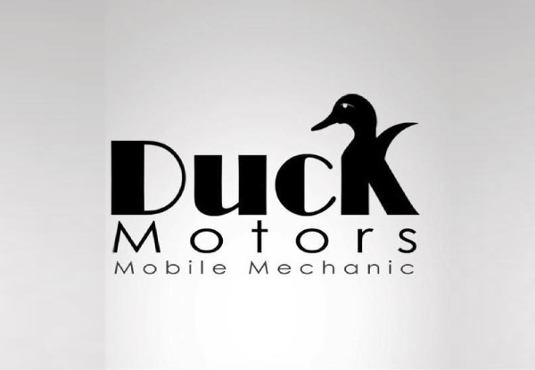 Duck Motors LTD