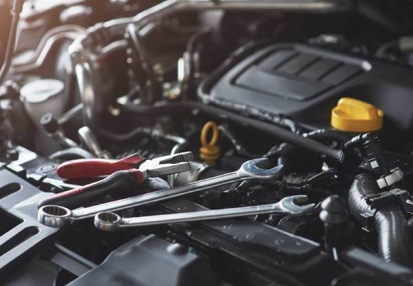 Hibiscus Coast Service Centre