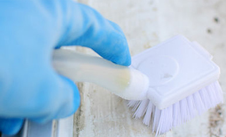 Quality Cleaning Solutions