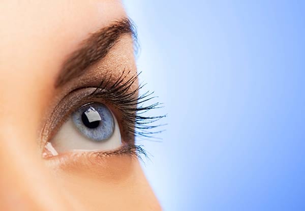 Eye Trio Beauty Package incl. Eyebrow Shape & Tint, & Eyelash Tint
