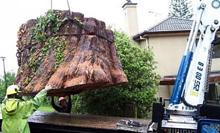 Baker Tree Services (!)