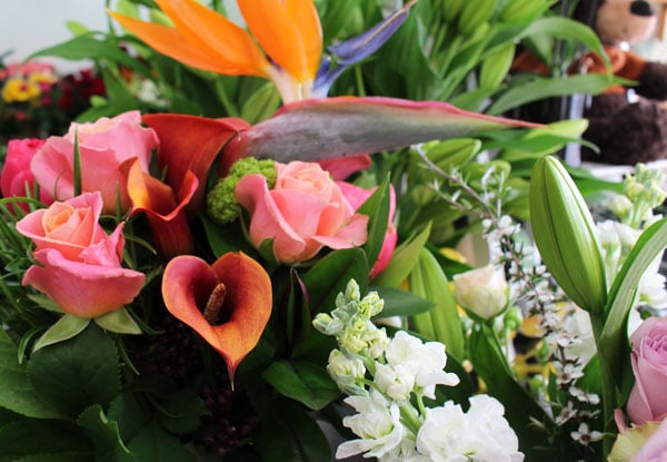 $50 Voucher for Snickel Lane Florist - Option for $100 Voucher