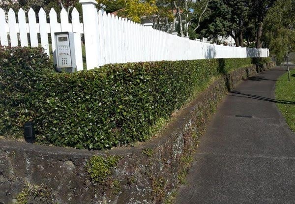 Panos Gardening Services