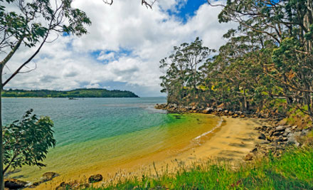 Stewart Island Flight Charter