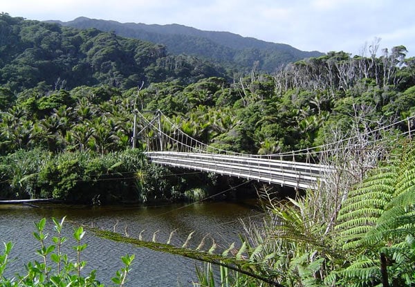 $1,399 Per Person for Six Nights on a Heaphy Track Guided Walk Adventure incl. Transfers to/from Nelson, Accommodation & Meals