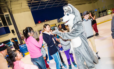 Paradice Ice Rink - New Plymouth