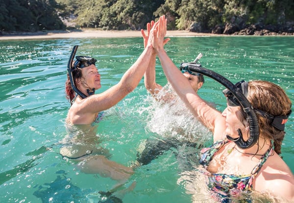 Two-Hour Guided Snorkelling Adventure in Mount Maunganui incl. All Gear