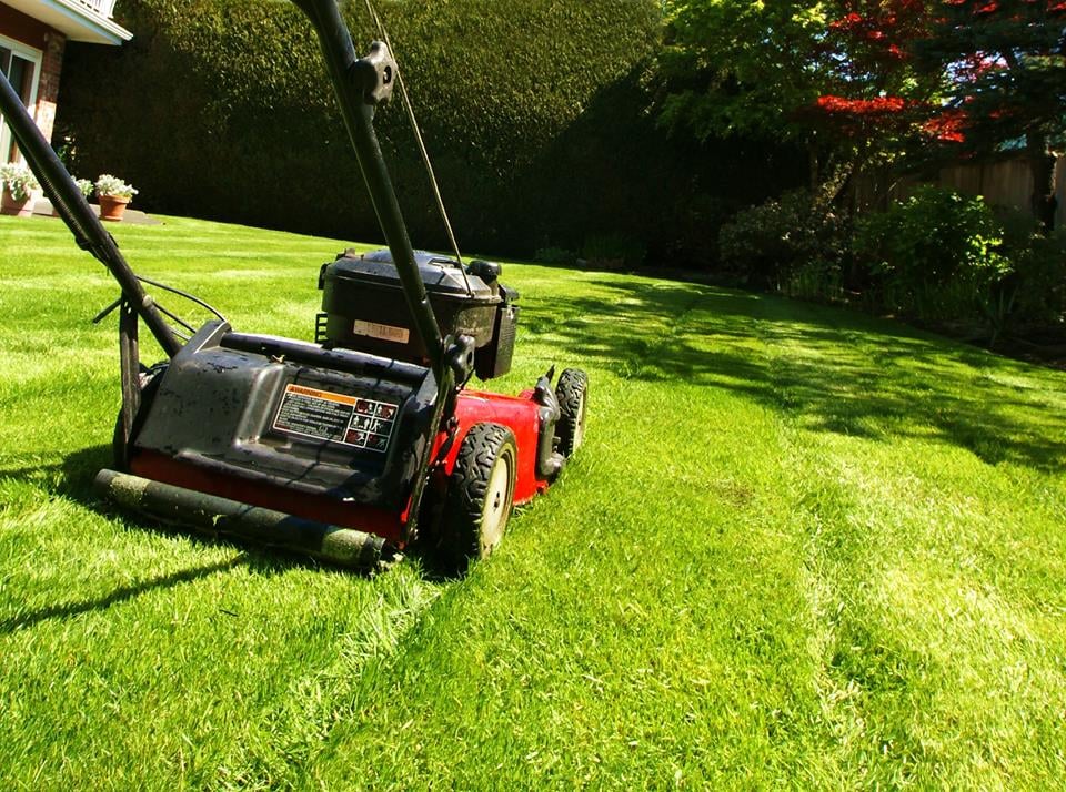 Wemowlawns.co.nz